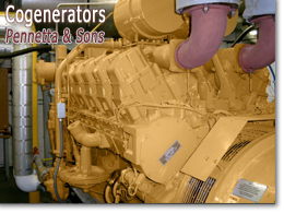 Pennetta and Sons - Cogeneration